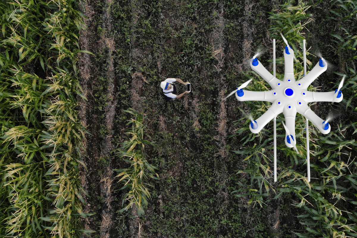 Drones are saving small farmers millions of litres of water and thousands of tonnes of chemicals.png